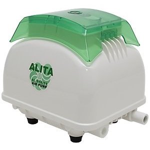 airpumps